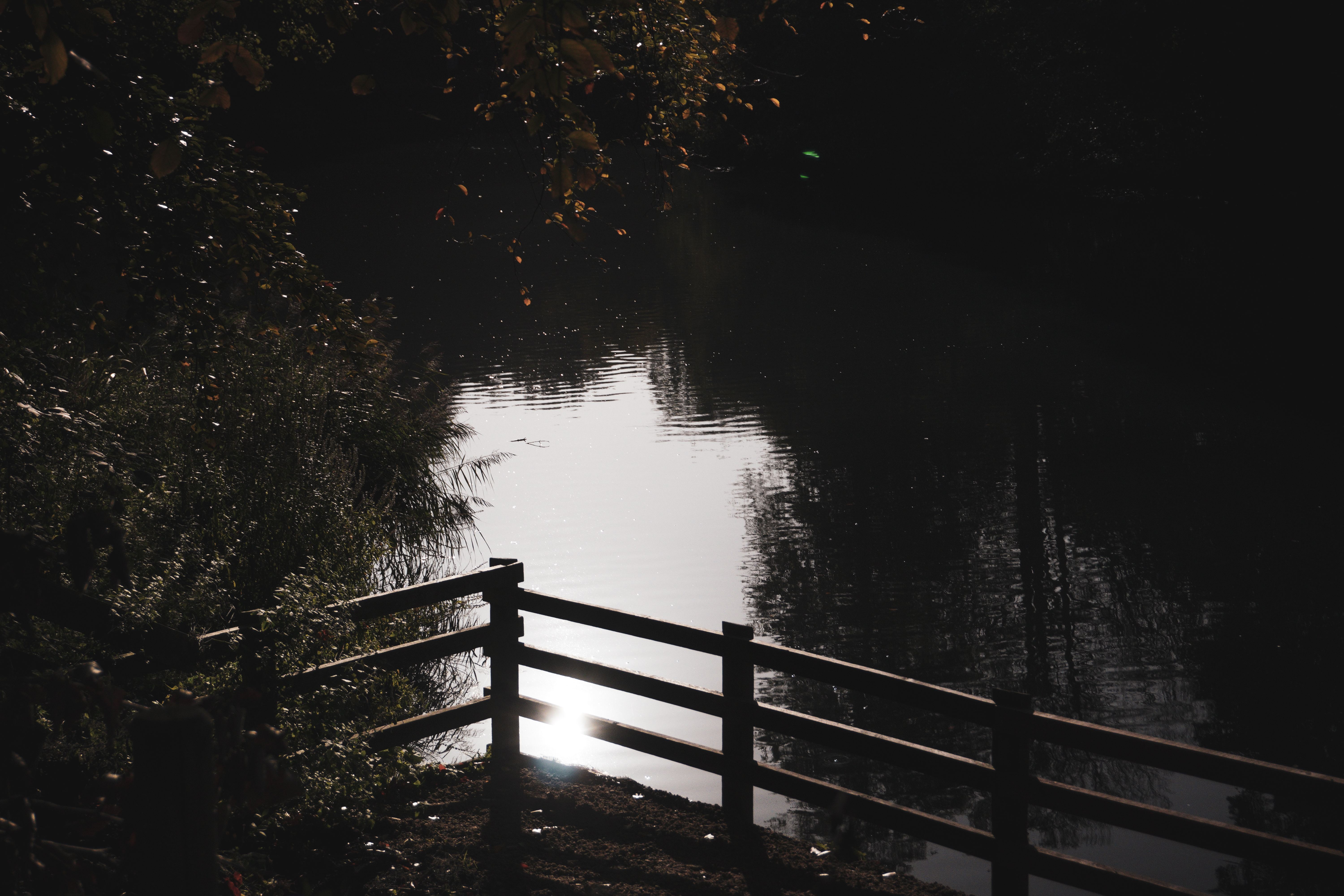 autumn lake at dusk